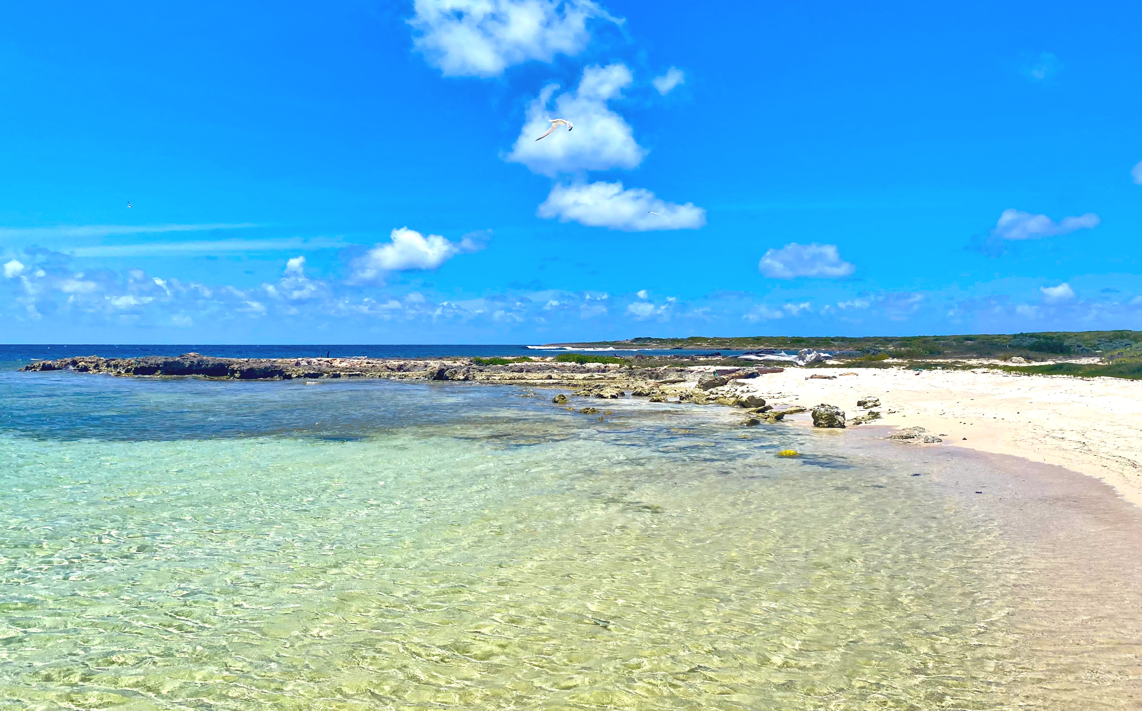  Savannah bay dike 