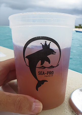 sea pro charter rum punch