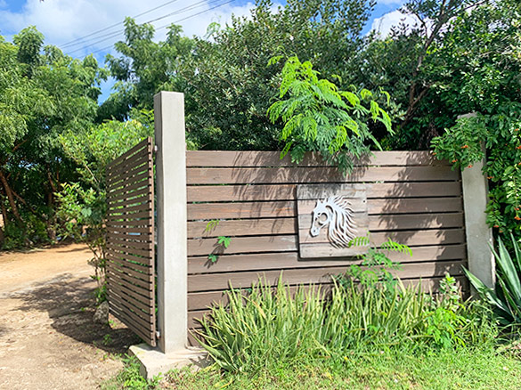 anguilla seaside stables