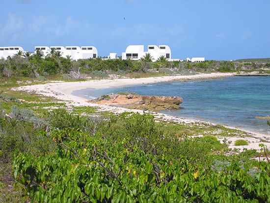 Anguilla Sherrick's