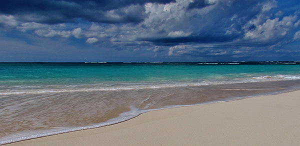 the beach at elodias on shoal bay east