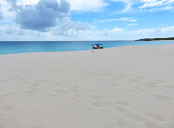 shoal bay scuba at dog island