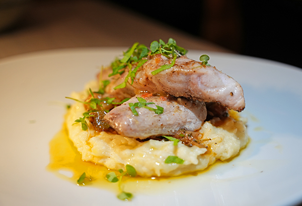 Snapper with ratatouille and whipped potatoes