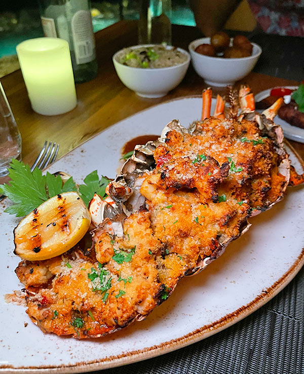four seasons Spiny Lobster 