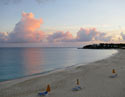 Anguilla Sensory Delight -John Richo