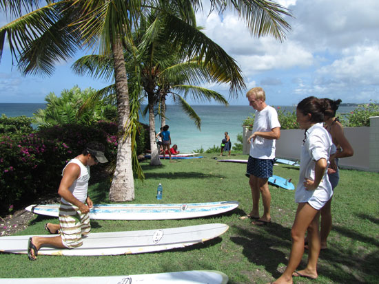 barbados surfing zed's