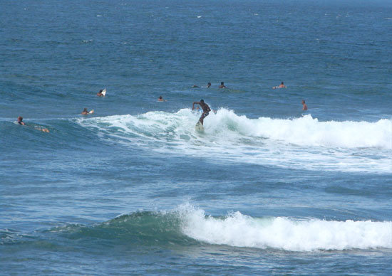 barbados surfing zed's