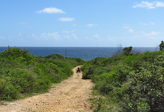 off roading on atv rentals in anguilla