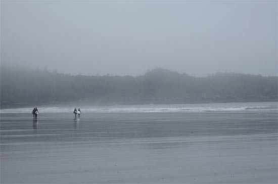 tofino surf long beach