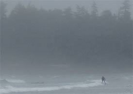 tofino surf long beach