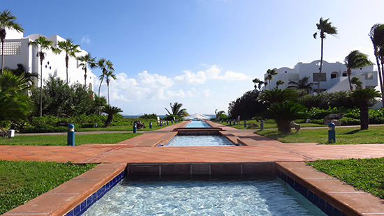 view from the pool at cuisinart