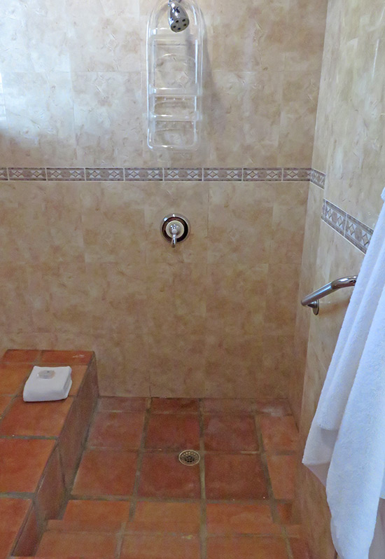 walk in shower at beach palm villa