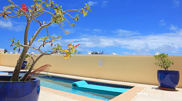 almond tree villa anguilla
