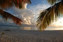 Anguilla Fills Our Dreamsl -Ellen Dioguardi