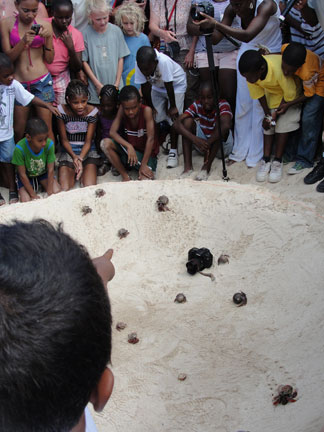 Anguilla beaches, Island Harbour, Festival del Mar