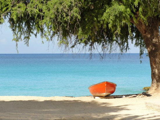 Anguilla Beaches Walk Majestic Meads Bay