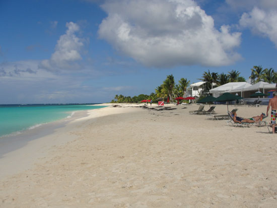 Anguilla beaches, Sargassum seaweed, Shoal Bay, Lower Shoal Bay