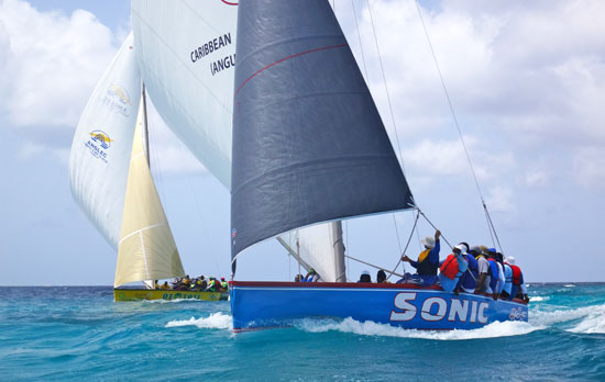 sonic and de tree from the sea during an anguilla sail boat race