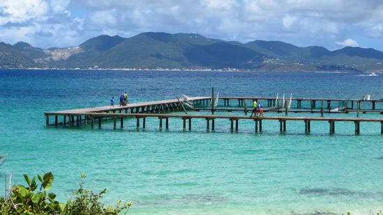 dolphin discovery anguilla