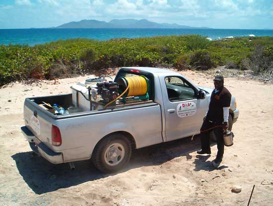 anguilla exterminator