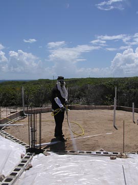 anguilla exterminator 4