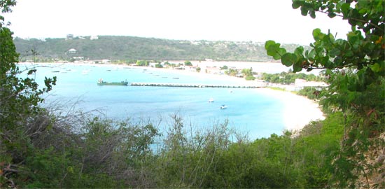 sandy ground view