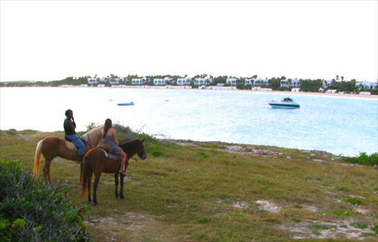 anguilla horseback riding