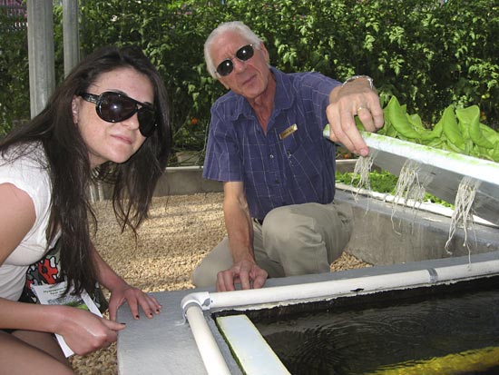 Anguilla Hydroponics