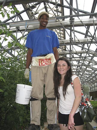 Hydroponics