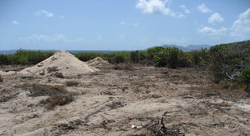 anguilla property back