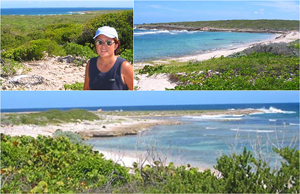 Anguilla mimi bay