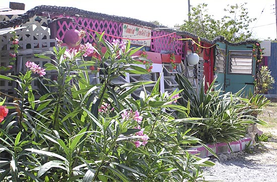 Anguilla bar