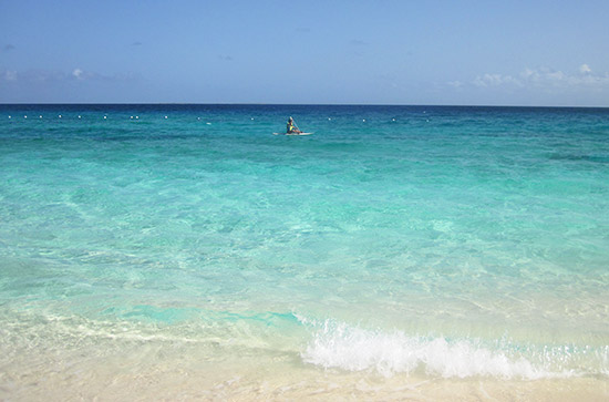 anguilla sup board