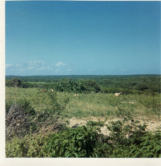 Anguilla Pasture 1969