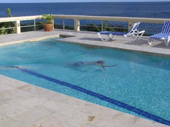 anguilla swimming