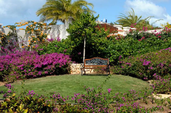 Little Butterfly anguilla villa rental