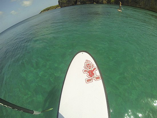 heading to little bay on stand up paddle boards