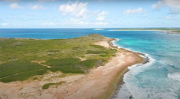 Anguilla and Scrub