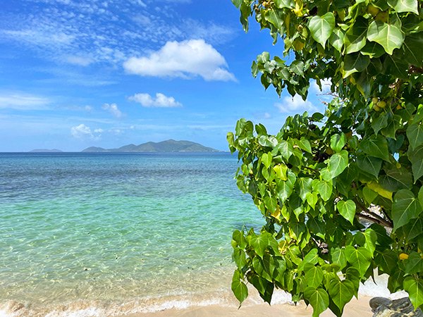 Apple Bay on Tortola