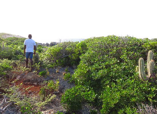 approaching aberdam in east end anguilla