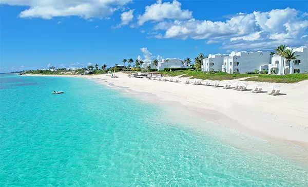 aurora anguilla