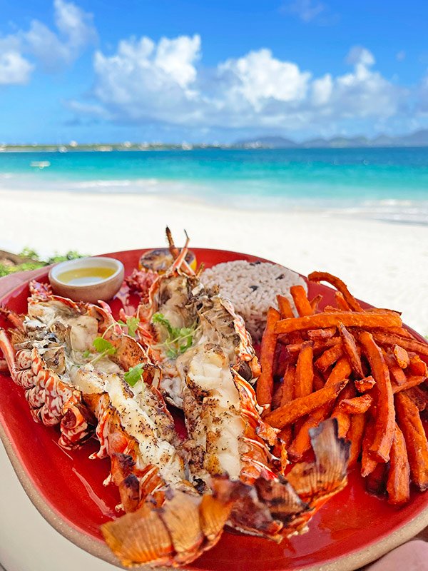 Anguillan Lobster 