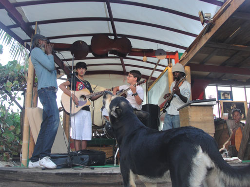 bankie banx playing at the dune preserve in Anguilla