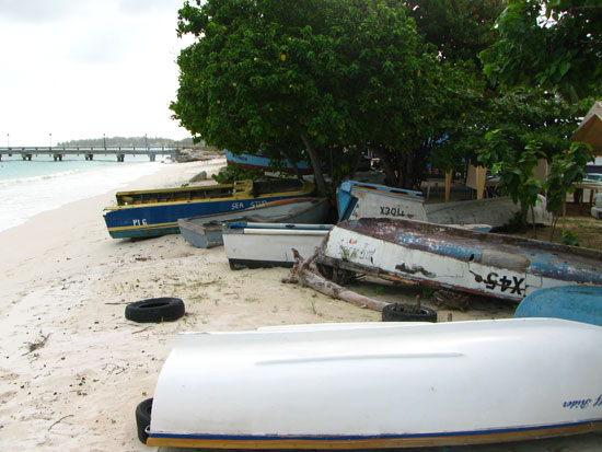 barbados oistins