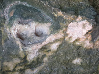 Big Spring Petroglyph of Face in rock