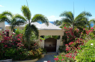 Anguilla villa, Bird of Paradise