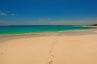 Anguilla villa, Bird of Paradise