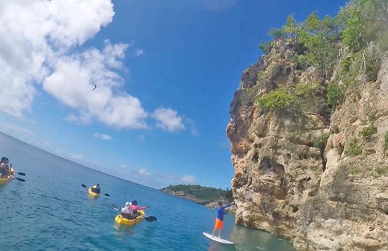 up close with the cliffsides at little bay, birds overhead