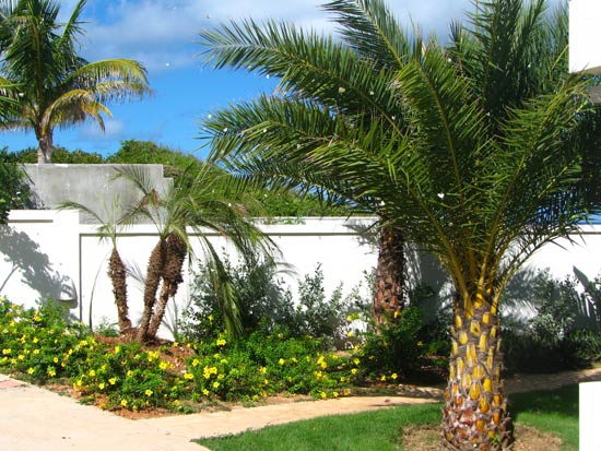 anguilla villa gardens