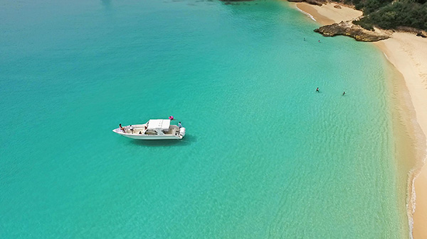 fun in the sun at meads bay with calypso charters